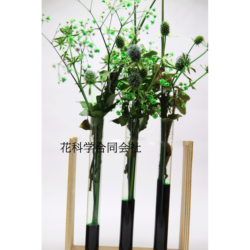 Alternative view of プリザーブドフラワー吸上げ液 【葉物(リーフ)・小花専用】 SF-M液 内容量:200ml